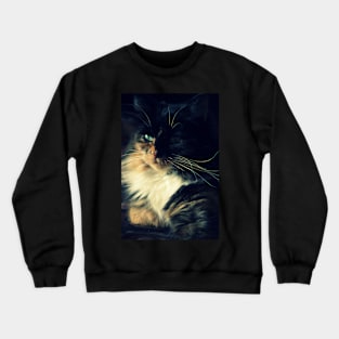 Lily Crewneck Sweatshirt